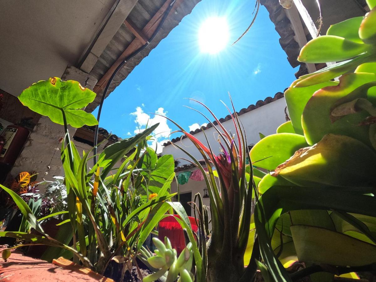 Hostal Posada Mi Casa San Cristobal de las Casas Luaran gambar